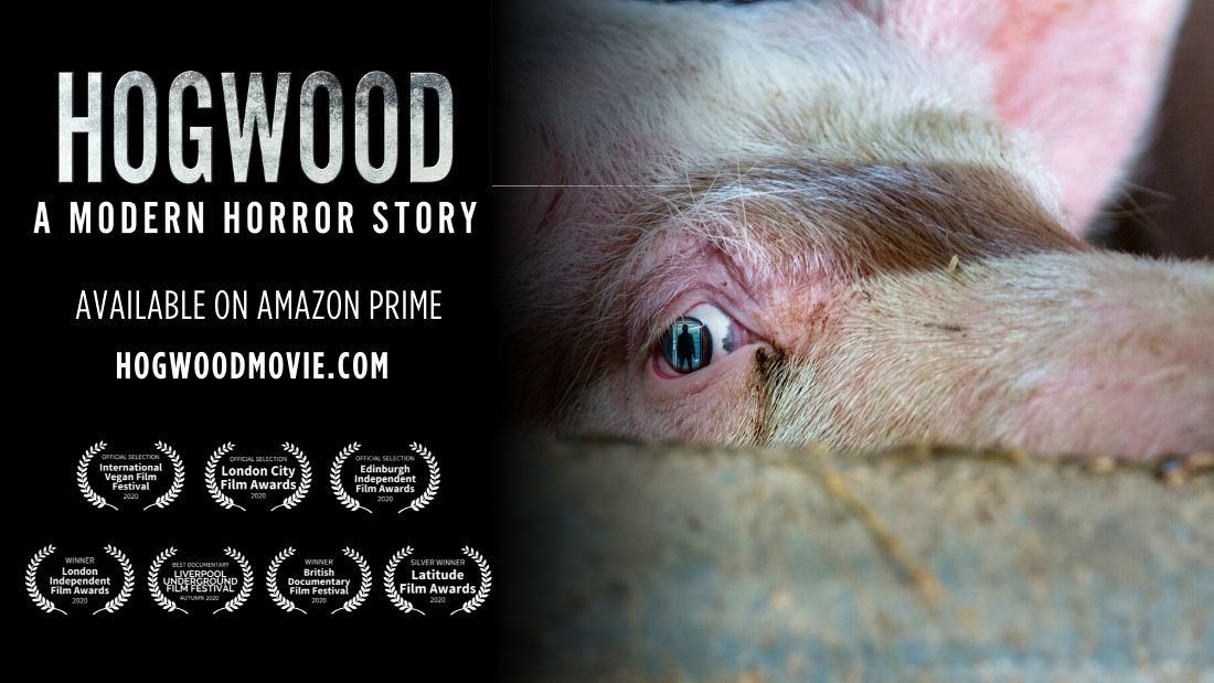 hogwood a modern horror story