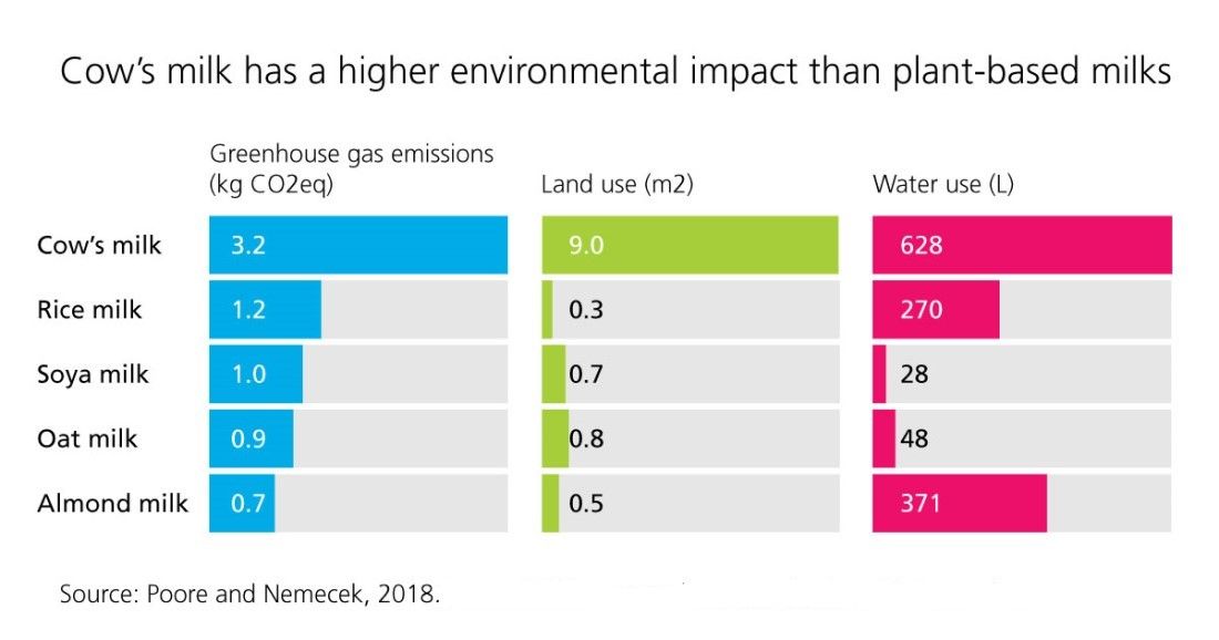 Cow's-milk-has-a-higher-environmental-impact-than-plant-milks