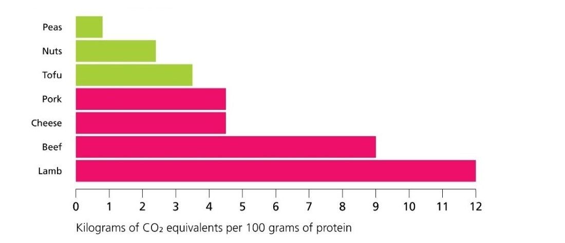 Comparing-the-highest-emitting-plant-foods-with-the-lowest-emitting-animal-foods