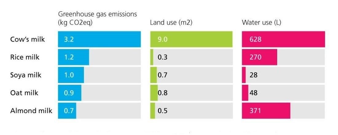 cow's milk has a higher environmental impact than plant milks