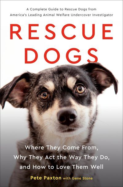 rescue dogs