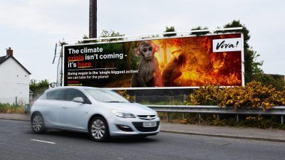 Vegan Now billboard