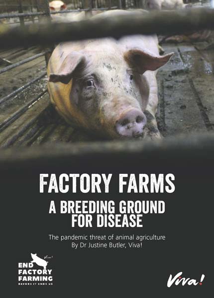 Factory Farming report 2022