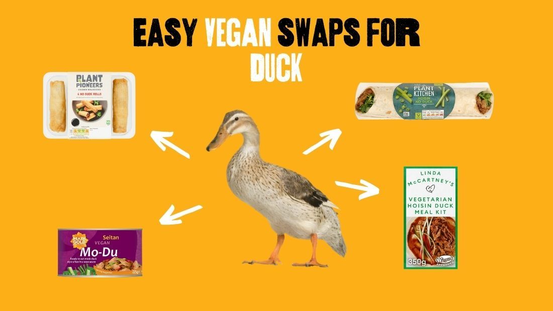 Main image Duck swaps