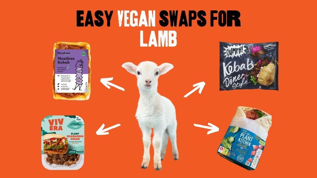 Main image Lamb swaps