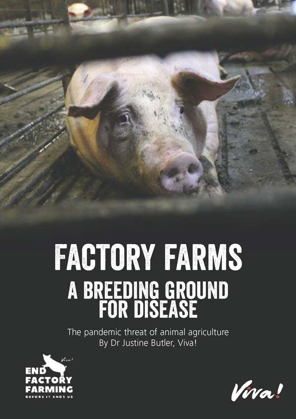 Factory Farming report 2022