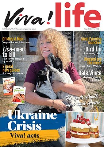 Viva!Life cover 80