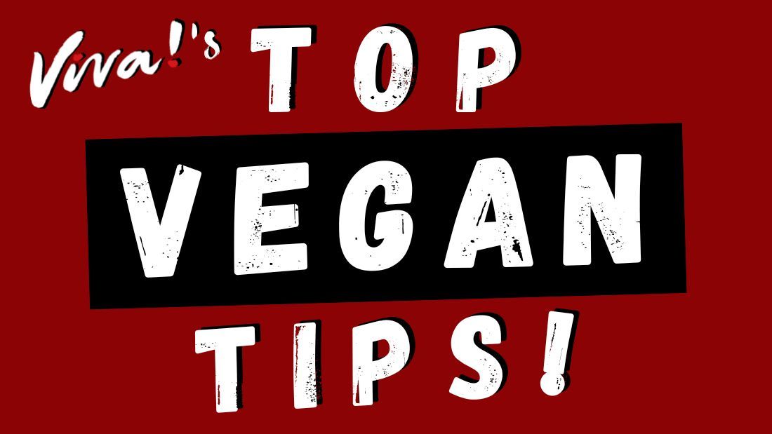 Top Vegan Tips