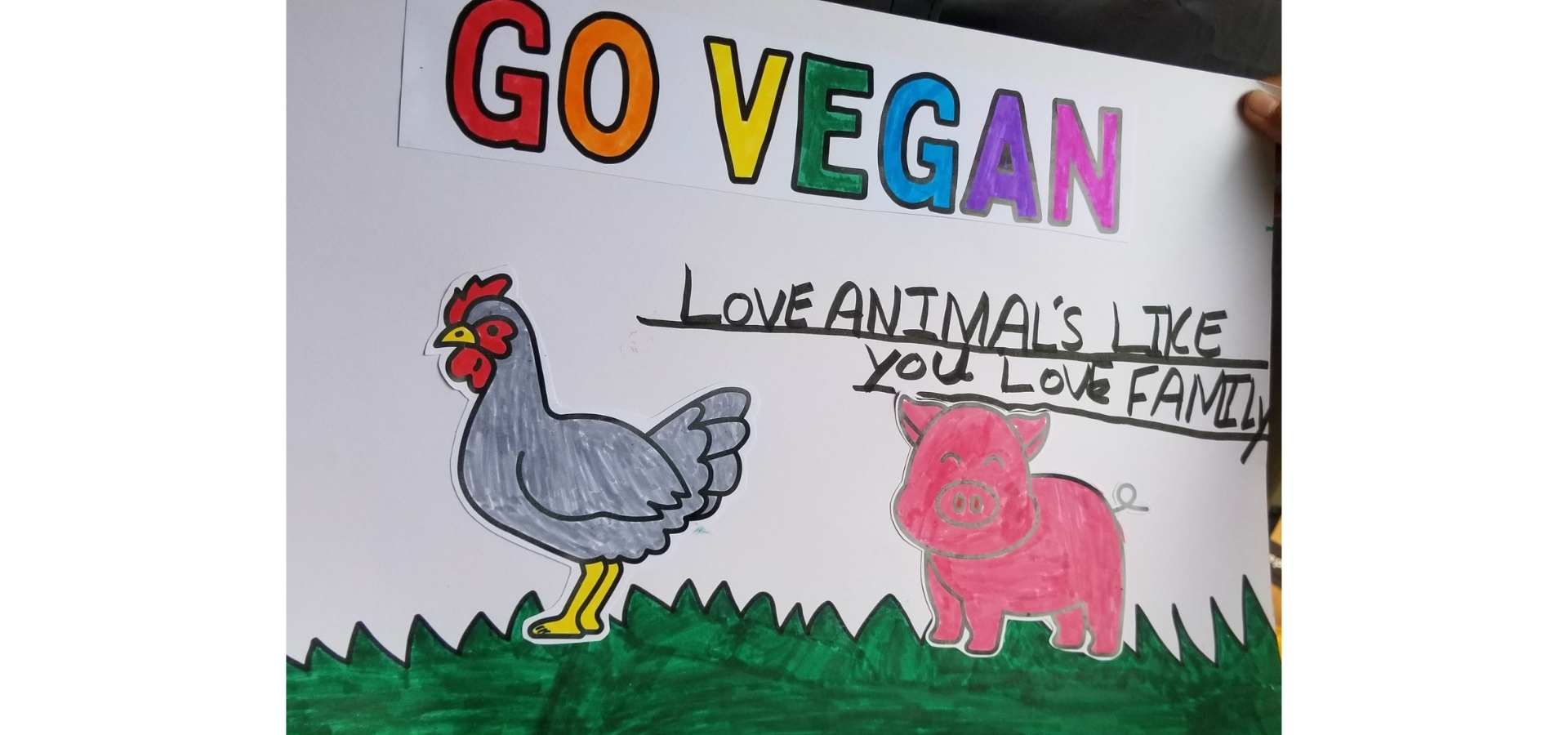 placard from vegan kids festival