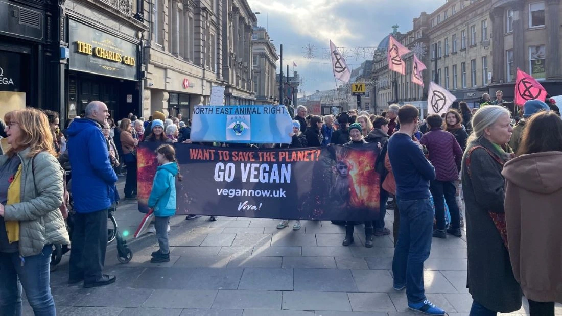 Viva! supporters taking to the streets during COP27 to raise awareness that we need to go vegan to save the planet