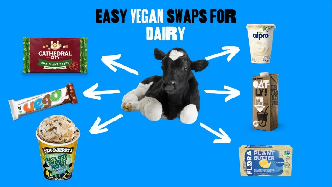 Swaps for Dairy