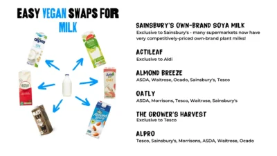 Vegan guide to milk