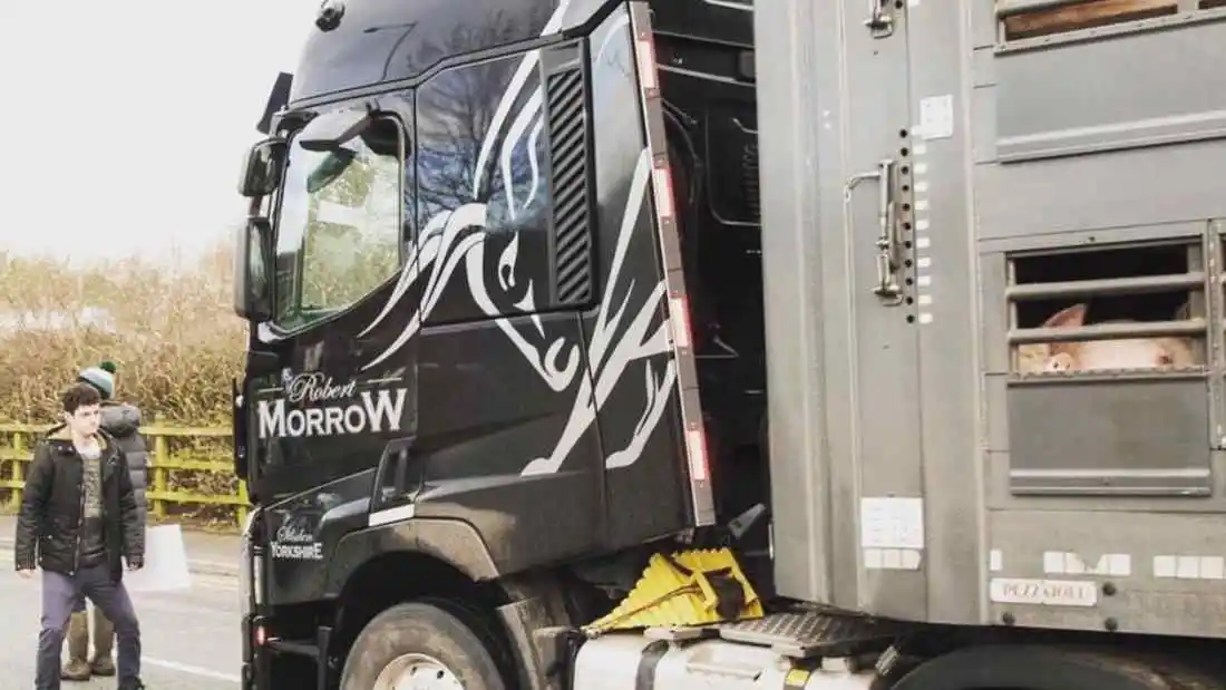 Co-Founder Andrew stops a truck full of pigs at the first Pig Save