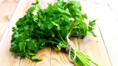 bunch of parsley