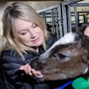 Wendy Turner Webster with a calf