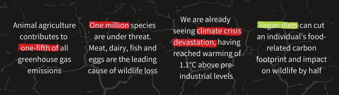 Environment impact infographic