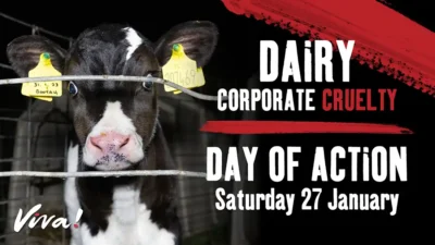 Corporate Cruelty Event Viva!