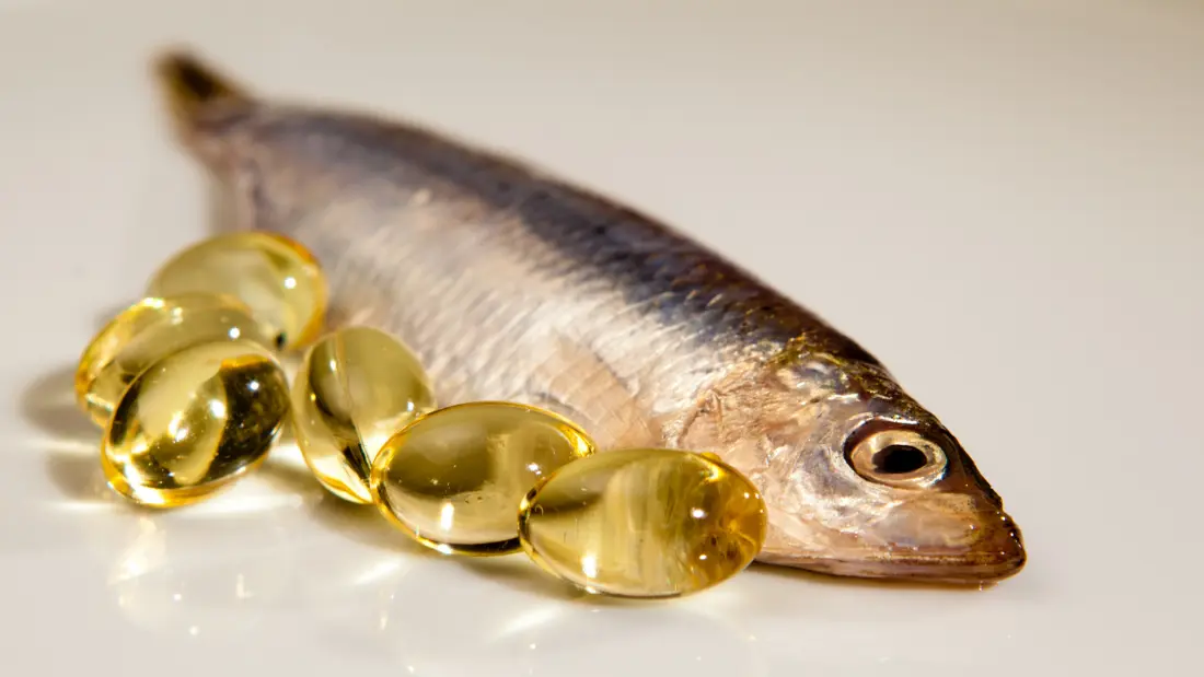 Fish oil