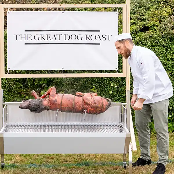 The great dog roast